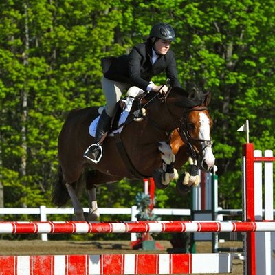 Timeline: Falon Nazzaro