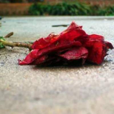 Timeline: Influenced Timeline