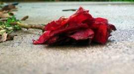 Timeline: Influenced Timeline