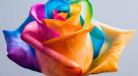 Timeline: My Ideal Life Timeline