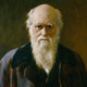 Darwin1