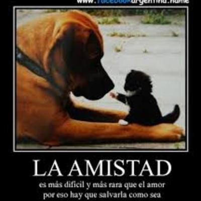 Timeline: LA AMISTAD