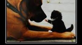 Timeline: LA AMISTAD