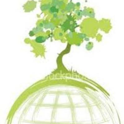 Timeline: DTS Desarrollo Sustentable