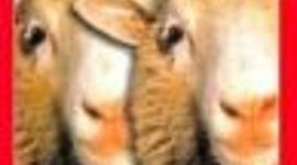 Timeline: Agricultural Biotechnology TimeLine