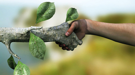 Timeline: Evolución de la sustentabilidad