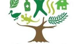 Timeline: La sustentabilidad y evolucion