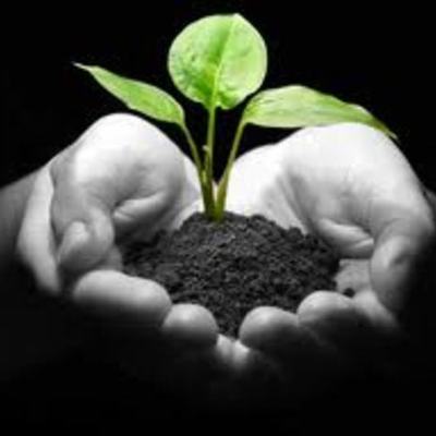 Timeline: SUSTENTABILIDAD (ANTECEDENTES)