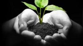 Timeline: SUSTENTABILIDAD (ANTECEDENTES)