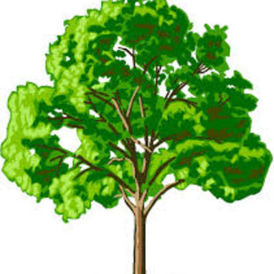 Timeline: Bowen's Development