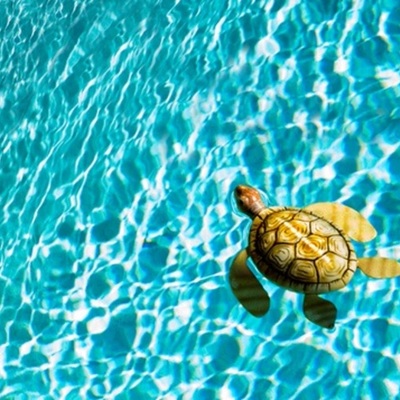 Timeline: antecedentes del turismo sustentable