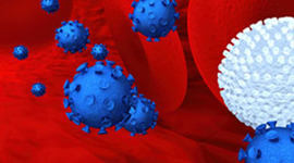 Timeline: Hepatitis C Strategic Plan