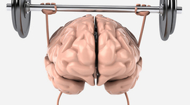 Timeline: מדיניות התקשוב הלאומית