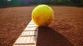 Timeline: Tenis ATP 2014