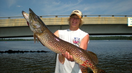 Timeline: Alex's Timeline