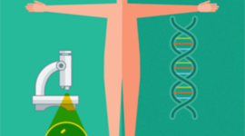 Timeline: Portfolio Project Due Dates