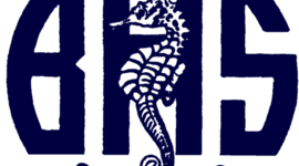 Timeline: 2014 Variety Show: Fundraiser for BHS Drama department