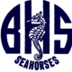 Seahorse1