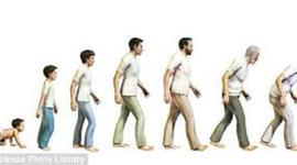 Timeline:  The Seven ages of men. By Yareni Aguilar