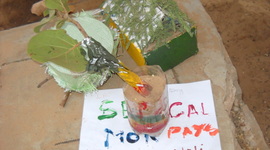 Timeline: Stage de moniteurs des colléctivités éducatives 2014 UGB Saint-Louis (SENEGAL)