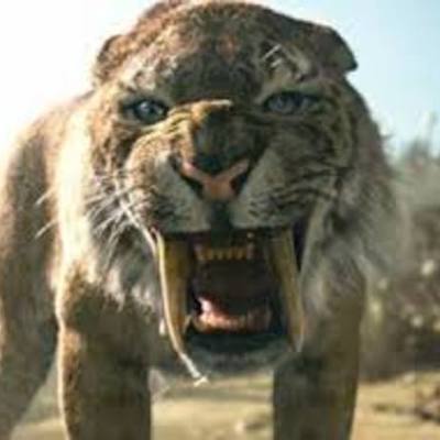 Timeline: Tigre à dents de sabre: LE SMILODON