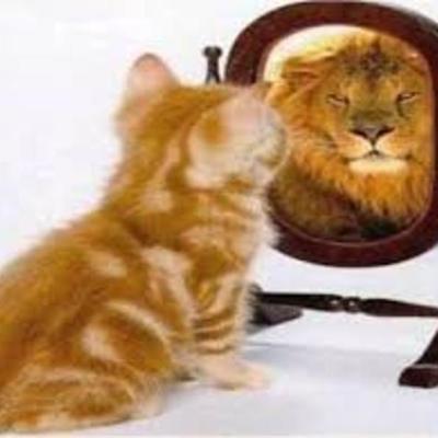 Timeline: MI HISTORIA EDUCATIVA