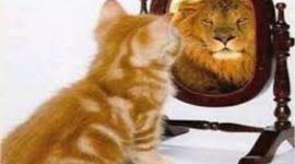 Timeline: MI HISTORIA EDUCATIVA