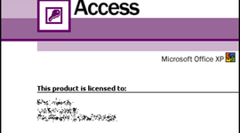 Timeline: Access Query