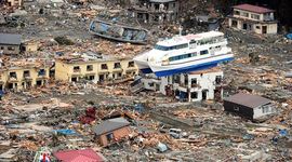 Timeline: Matthew Puente