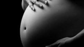 Timeline: Mrs. Hillen Sample - Prenatal Development