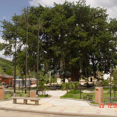 Timeline: Fiestas del Campesino San Benito