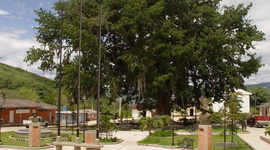 Timeline: Fiestas del Campesino San Benito