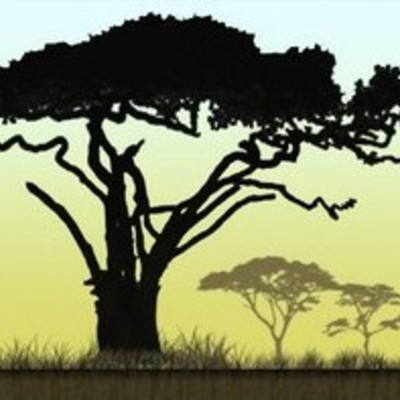 Timeline: Het leven van Christiaan van der Vegt