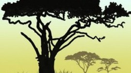 Timeline: Het leven van Christiaan van der Vegt