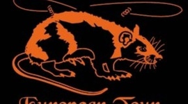 Timeline: The black death