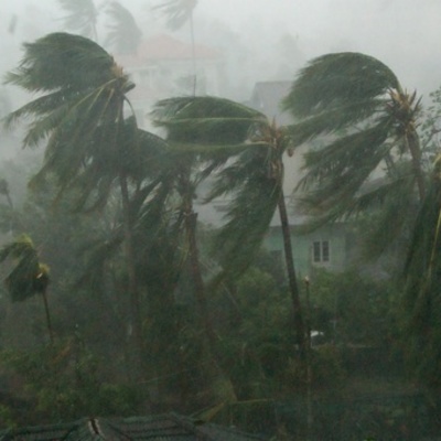 Timeline: Module 2: Timeline Marisol Gomez