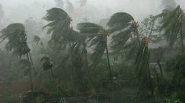 Timeline: Module 2: Timeline Marisol Gomez