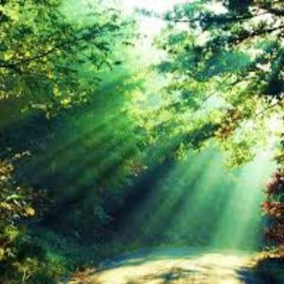 Timeline: HISTORIA DE INTERNET