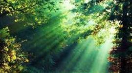 Timeline: HISTORIA DE INTERNET