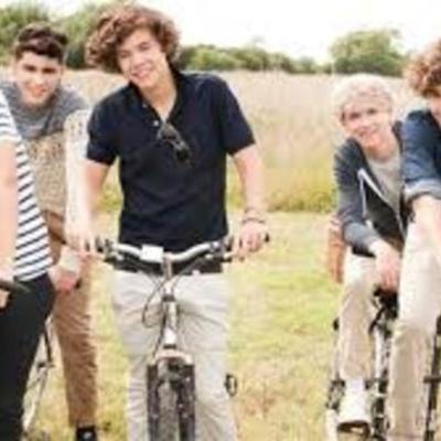 Timeline: somgs by one direction