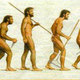Evolucion