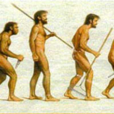 Timeline: teorías del origen y evolución de la vida