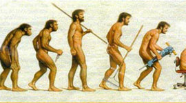 Timeline: teorías del origen y evolución de la vida