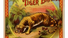 Timeline: Carteleras de las decadas de 1840