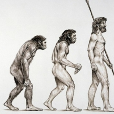 Timeline: Teorías de la evolución