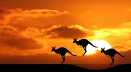 Timeline: Towards the 1967 Referendum