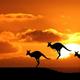 Australia landscape wallpaper 5 139728 2880x1800 (2)