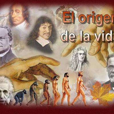 Timeline: TEORIAS DEL ORIGEN DE LA VIDA