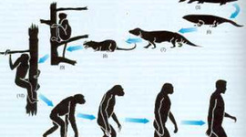 Timeline: ORIGEN Y EVOLUCIÒN DE LA VIDA