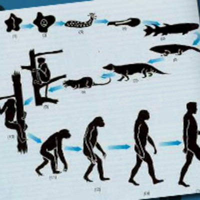 Timeline: TEORÍAS DE LA EVOLUCION